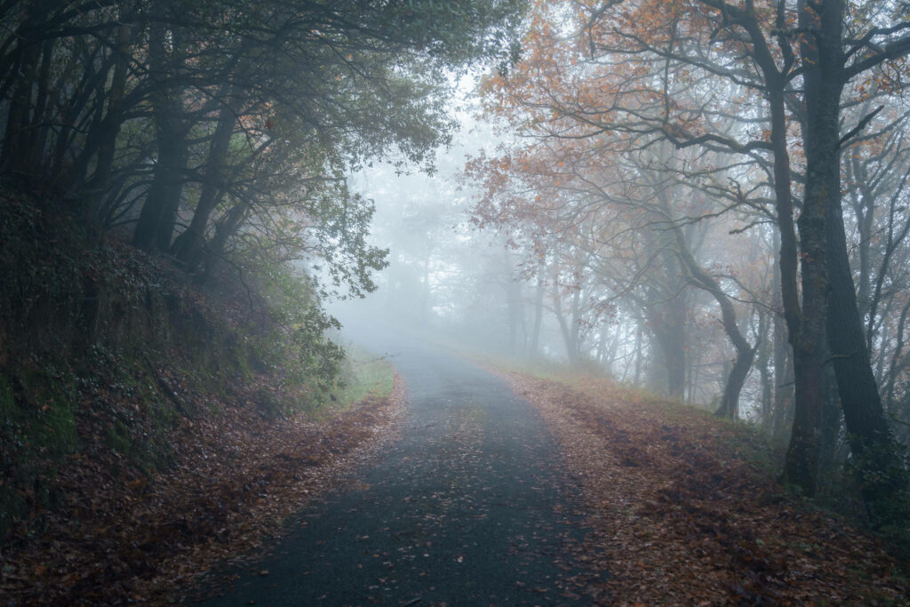 Camiño rural entre a néboa